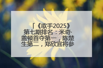 《歌手2025》第七期排名：米奇·盖顿首夺第一，陈楚生第二，郑欣宜将参加下一轮张榜赛