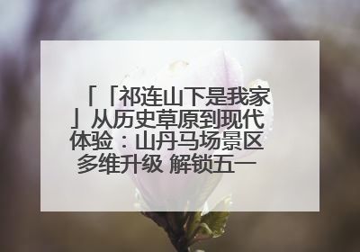 「祁连山下是我家」从历史草原到现代体验：山丹马场景区多维升级 解锁五一文旅新玩法