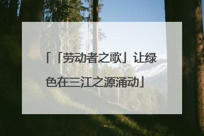 「劳动者之歌」让绿色在三江之源涌动