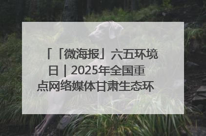 「微海报」六五环境日｜2025年全国重点网络媒体甘肃生态环保行走进凉州区