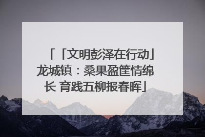 「文明彭泽在行动」龙城镇：桑果盈筐情绵长 育践五柳报春晖