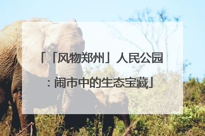 「风物郑州」人民公园：闹市中的生态宝藏