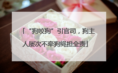 “狗咬狗”引官司，狗主人屡次不牵狗绳担全责