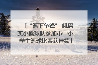 “篮下争锋” 峨眉实小篮球队参加市中小学生篮球比赛获佳绩
