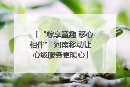 “粽享童趣 移心相伴” 河南移动让心级服务更暖心