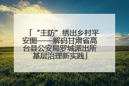 “主防”绣出乡村平安图——解码甘肃省高台县公安局罗城派出所基层治理新实践