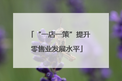 “一店一策”提升零售业发展水平