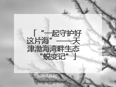 “一起守护好这片海”——天津渤海湾畔生态“蜕变记”
