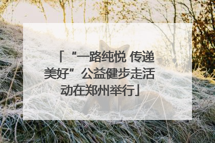 “一路纯悦 传递美好”公益健步走活动在郑州举行
