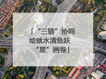 “三链”协同 绘就水清鱼跃“星”画卷