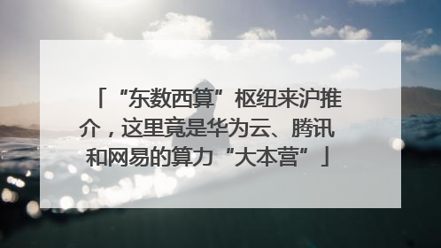 “东数西算”枢纽来沪推介，这里竟是华为云、腾讯和网易的算力“大本营”