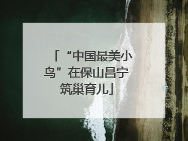 “中国最美小鸟”在保山昌宁筑巢育儿