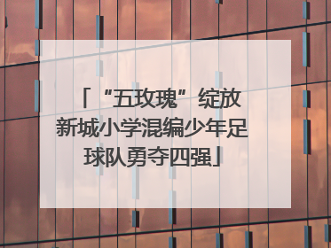 “五玫瑰”绽放 新城小学混编少年足球队勇夺四强
