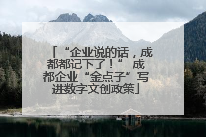 “企业说的话，成都都记下了！” 成都企业“金点子”写进数字文创政策