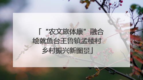 “农文旅体康”融合绘就鱼台王鲁镇孟楼村乡村振兴新图景