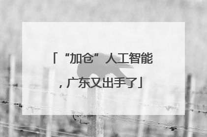 “加仓”人工智能，广东又出手了