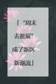 “周末去逛展”成了新区新潮流