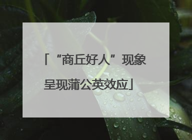 “商丘好人”现象呈现蒲公英效应