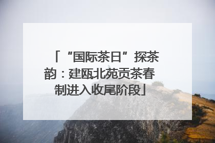 “国际茶日”探茶韵：建瓯北苑贡茶春制进入收尾阶段