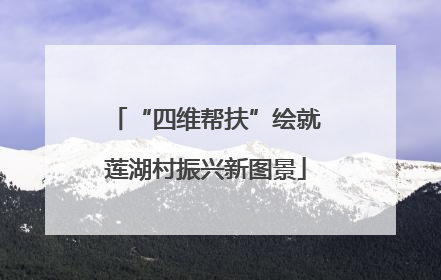 “四维帮扶”绘就莲湖村振兴新图景