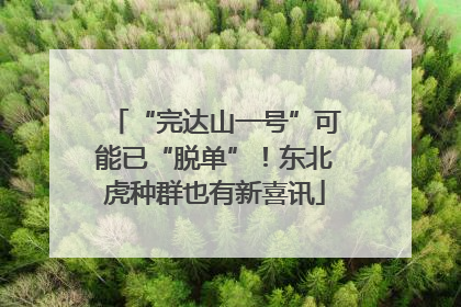 “完达山一号”可能已“脱单”！东北虎种群也有新喜讯