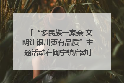 “多民族一家亲 文明让银川更有品质”主题活动在闽宁镇启动