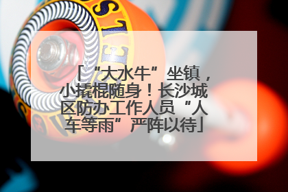 “大水牛”坐镇，小撬棍随身！长沙城区防办工作人员“人车等雨”严阵以待