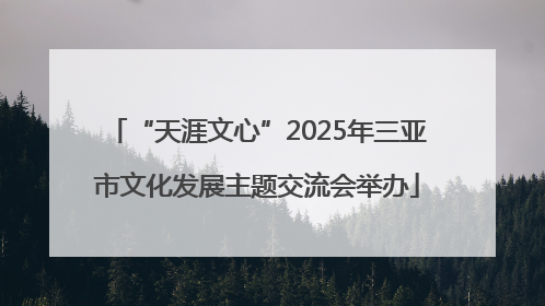“天涯文心”2025年三亚市文化发展主题交流会举办