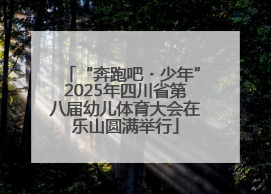 “奔跑吧・少年”2025年四川省第八届幼儿体育大会在乐山圆满举行