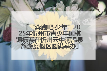 “奔跑吧·少年”2025年忻州市青少年围棋锦标赛在忻州云中河温泉旅游度假区圆满举办