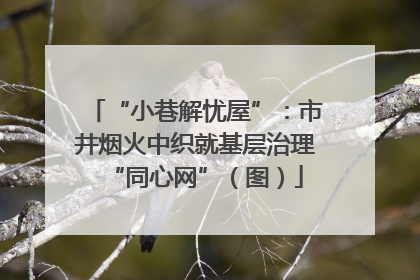 “小巷解忧屋”：市井烟火中织就基层治理“同心网”（图）