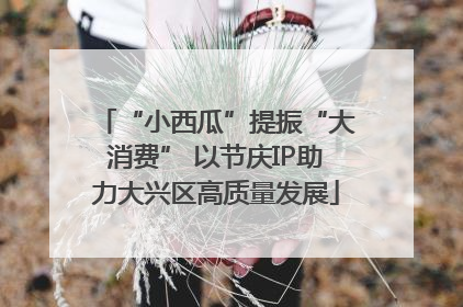 “小西瓜”提振“大消费” 以节庆IP助力大兴区高质量发展