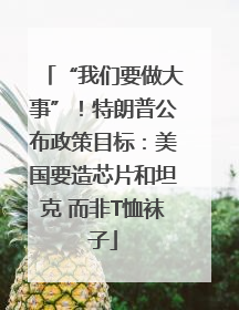 “我们要做大事”！特朗普公布政策目标：美国要造芯片和坦克 而非T恤袜子