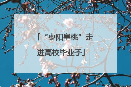 “枣阳皇桃”走进高校毕业季