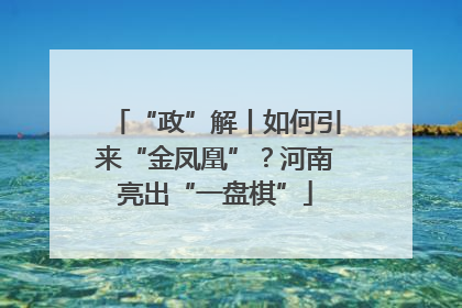 “政”解丨如何引来“金凤凰”？河南亮出“一盘棋”