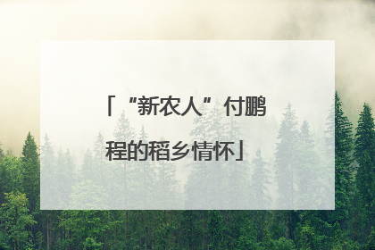 “新农人”付鹏程的稻乡情怀