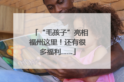 “毛孩子”亮相福州这里！还有很多福利……