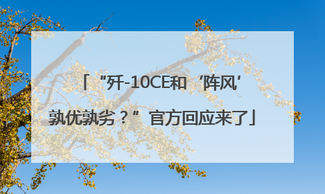 “歼-10CE和‘阵风’孰优孰劣？”官方回应来了