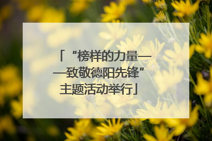 “榜样的力量——致敬德阳先锋”主题活动举行