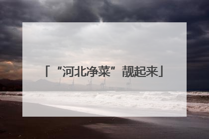 “河北净菜”靓起来