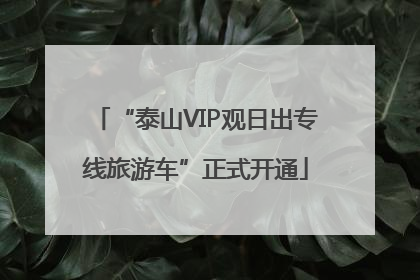“泰山VIP观日出专线旅游车”正式开通