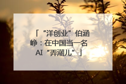 “洋创业”伯涵峥：在中国当一名AI“弄潮儿”