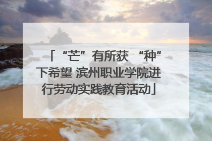 “芒”有所获 “种”下希望 滨州职业学院进行劳动实践教育活动