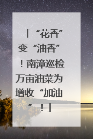 “花香”变“油香”！南漳巡检万亩油菜为增收“加油”！