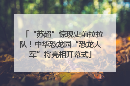 “苏超”惊现史前拉拉队！中华恐龙园“恐龙大军”将亮相开幕式