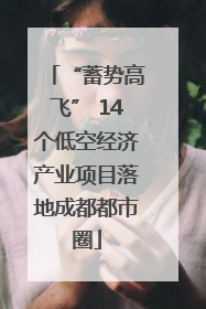 “蓄势高飞” 14个低空经济产业项目落地成都都市圈