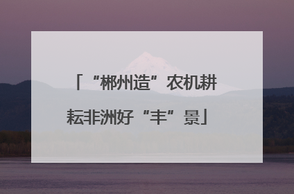 “郴州造”农机耕耘非洲好“丰”景