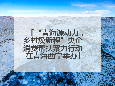 “青海源动力，乡村焕新程”央企消费帮扶聚力行动在青海西宁举办