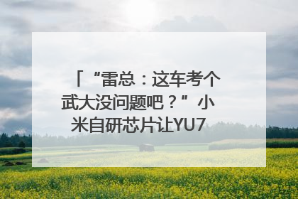 “雷总：这车考个武大没问题吧？”小米自研芯片让YU7会学习｜汽车科技