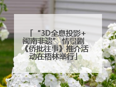 “3D全息投影+闽南非遗” 情景剧《侨批往事》推介活动在梧林举行
